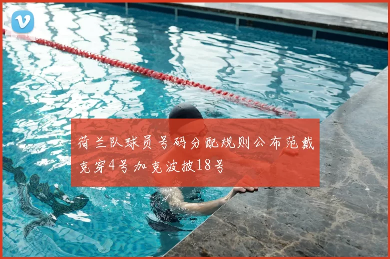 荷兰队球员号码分配规则公布范戴克穿4号加克波披18号