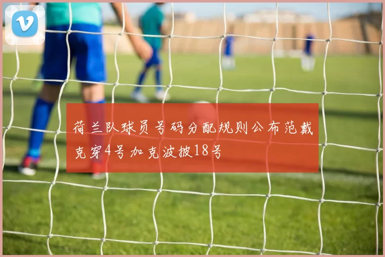 荷兰队球员号码分配规则公布范戴克穿4号加克波披18号